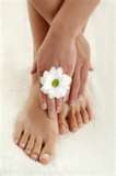 About Reflexology. flowerlogo